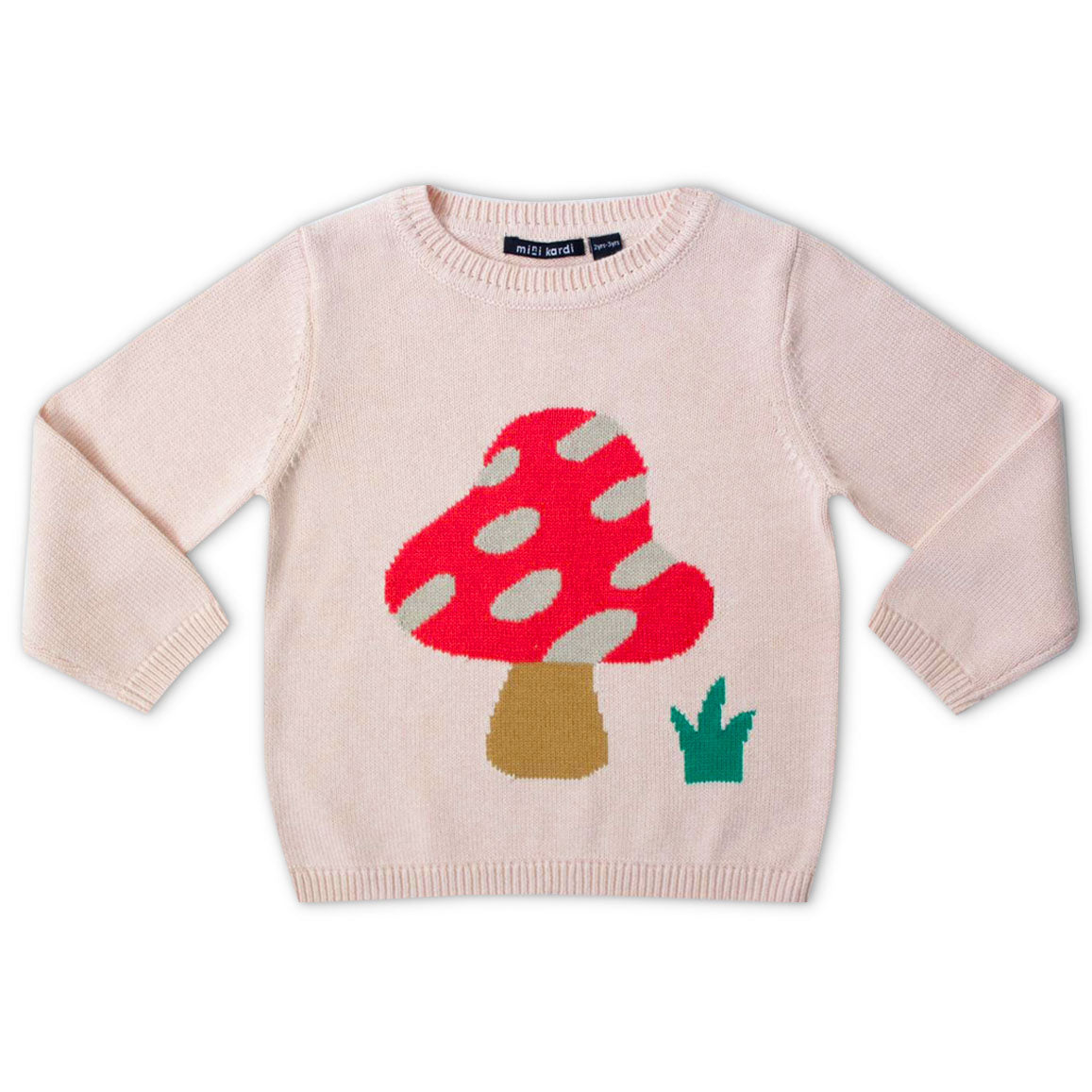 Cat and mushroom 2025 sweater