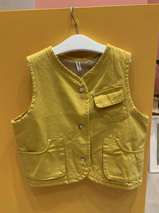 Mr. Branca Yellow Vest